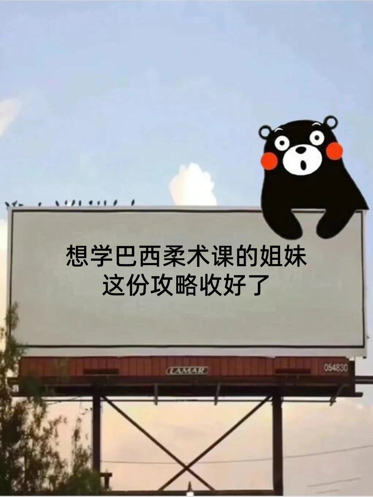 入门巴西柔术怕孤单？先定社交目标更易坚持