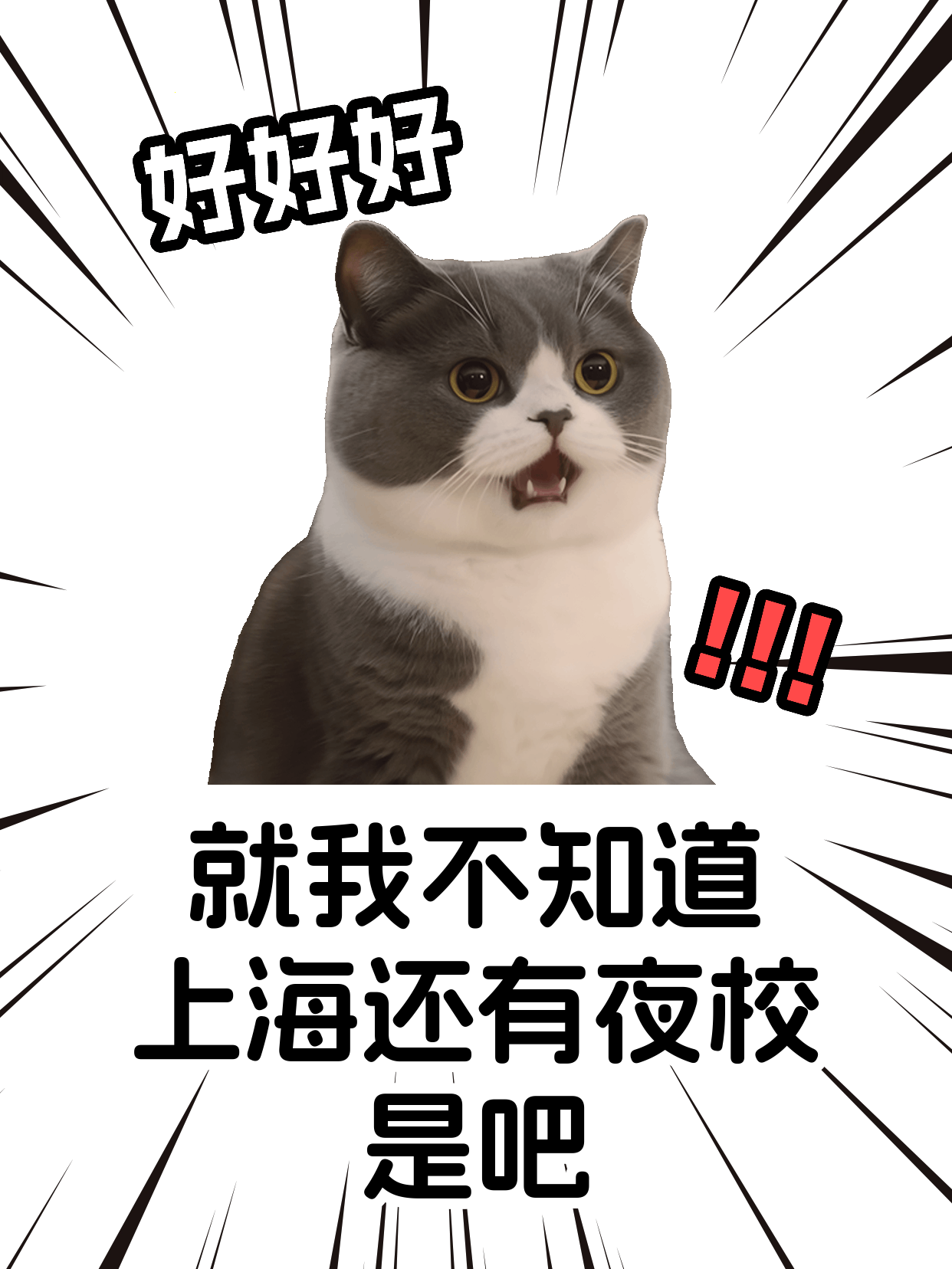 练八段锦总自我否定？选通勤近的课重建信心