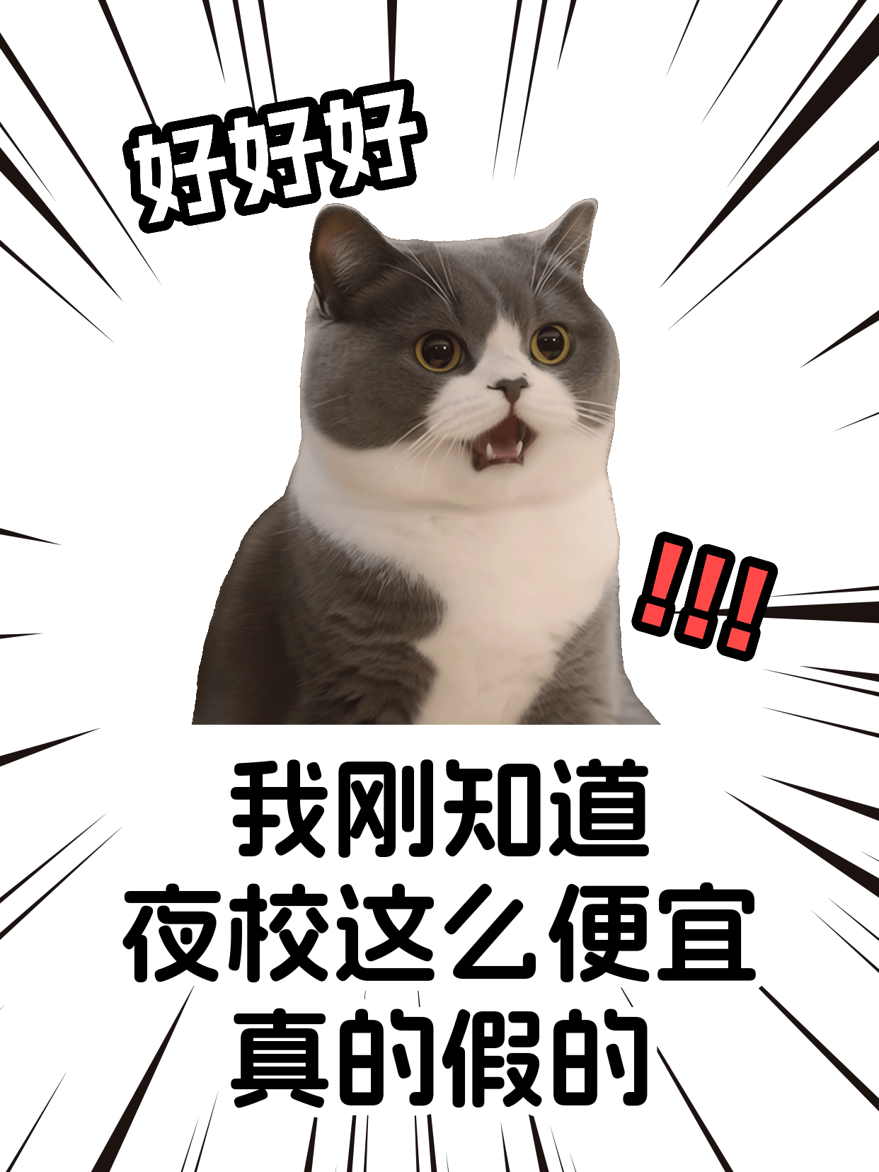 下班后学宠物烘焙，平台期咋突破？