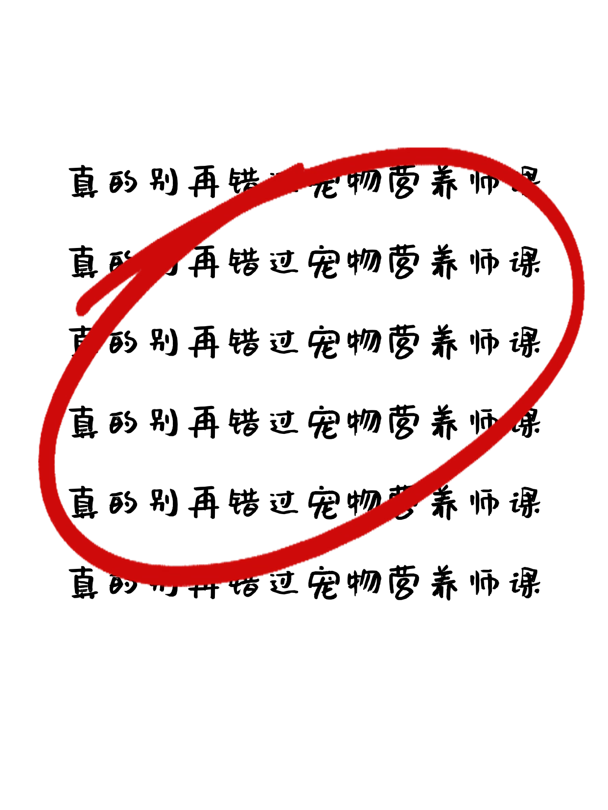 上海学宠物营养师，通勤适配很重要！