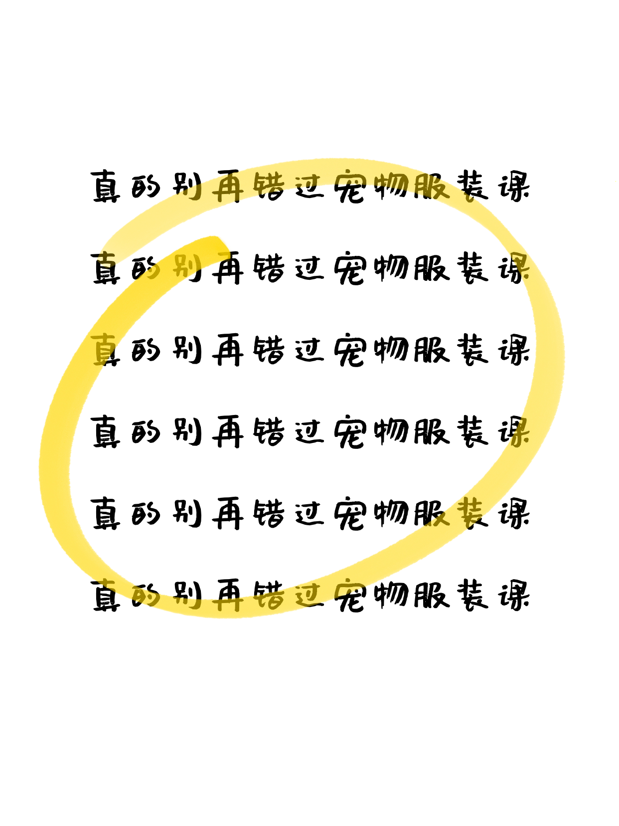 选宠物服装课，怎么判断时间适配性？