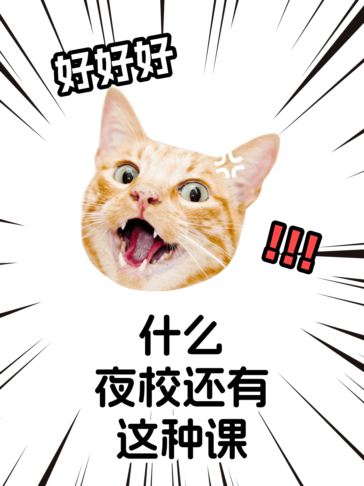 自学整理收纳总卡壳？下班后学习的破局法