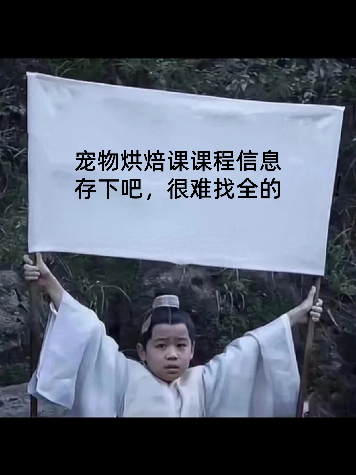 下班后学宠物烘焙，怎么选不踩时间坑