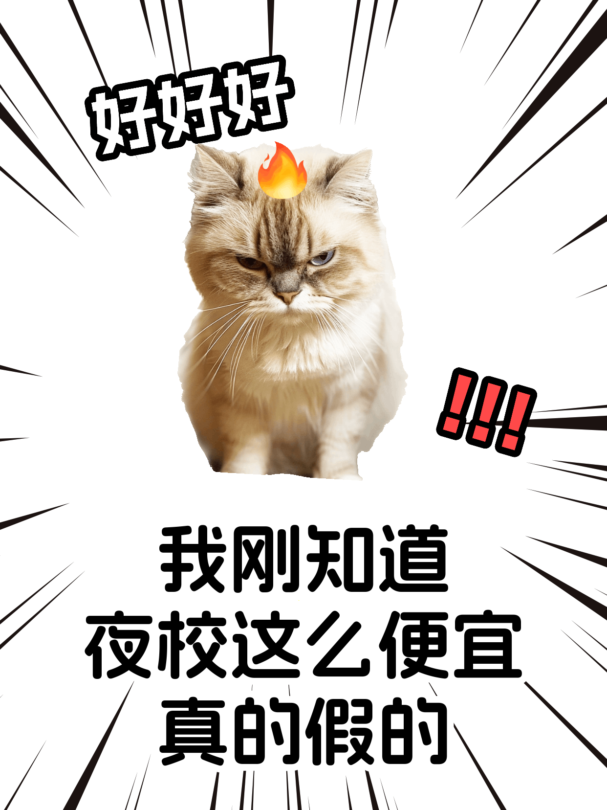 学中餐总中断？拆分目标更易执行