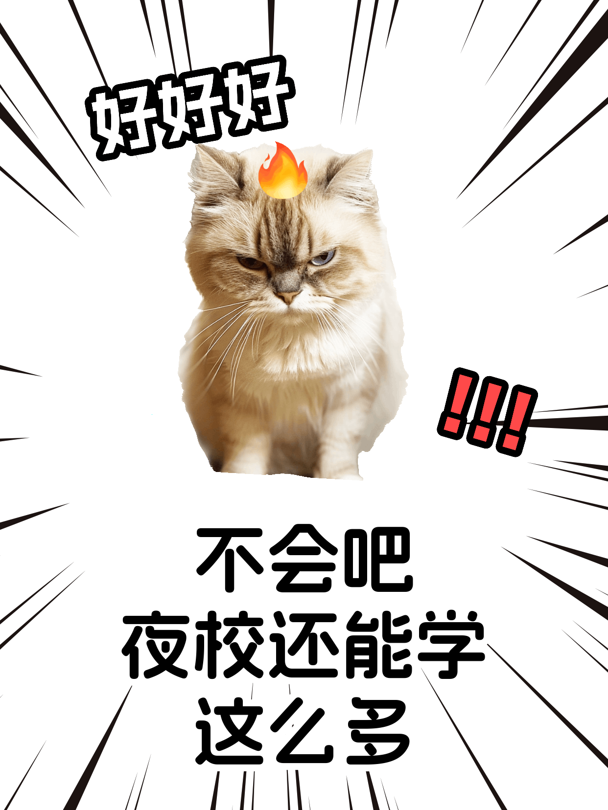 下班后学小提琴，选老师看这几点更靠谱