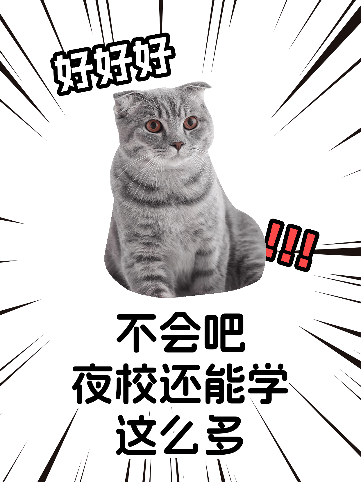 想学宠物营养师怕孤单？结伴学习更有动力