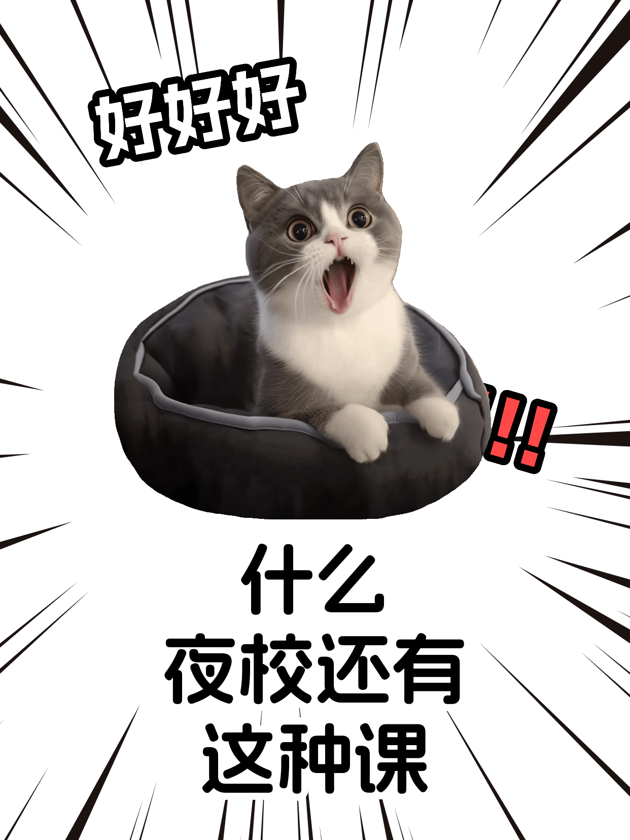 想学速写怕孤单？和同好一起学习超治愈！