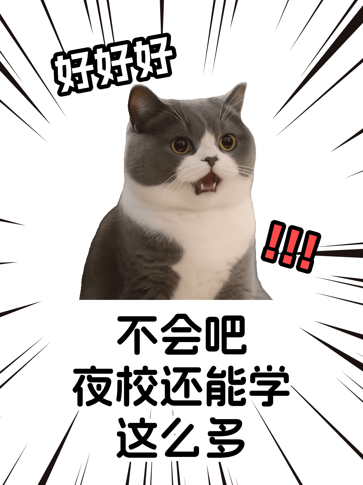 下班后学西餐，怕遇不专业老师怎么办？