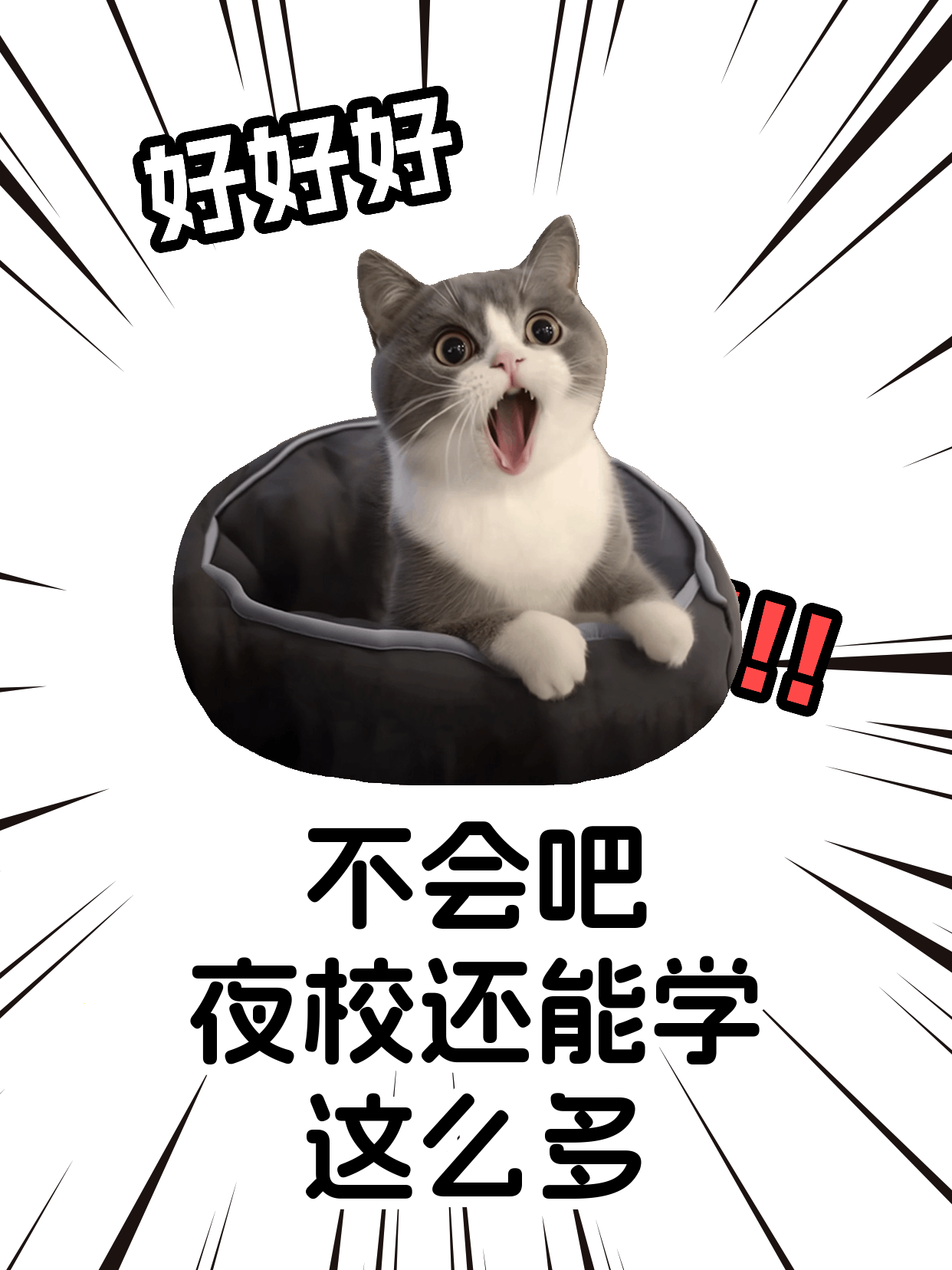 篆刻学习遇平台期，怎样突破还能拓展同好…