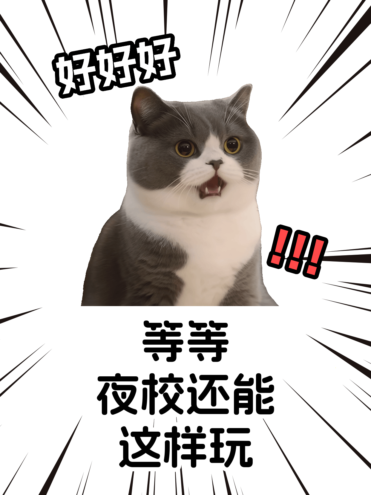 第一次学缝纫紧张孤单？课堂快速融入指南