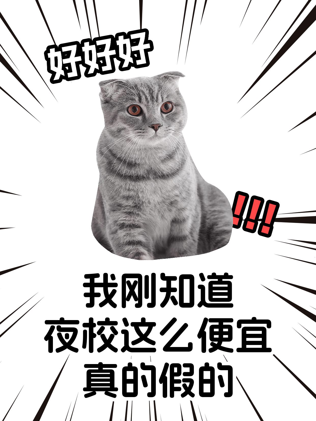 上海下班后学彩铅，稳走路径的关键