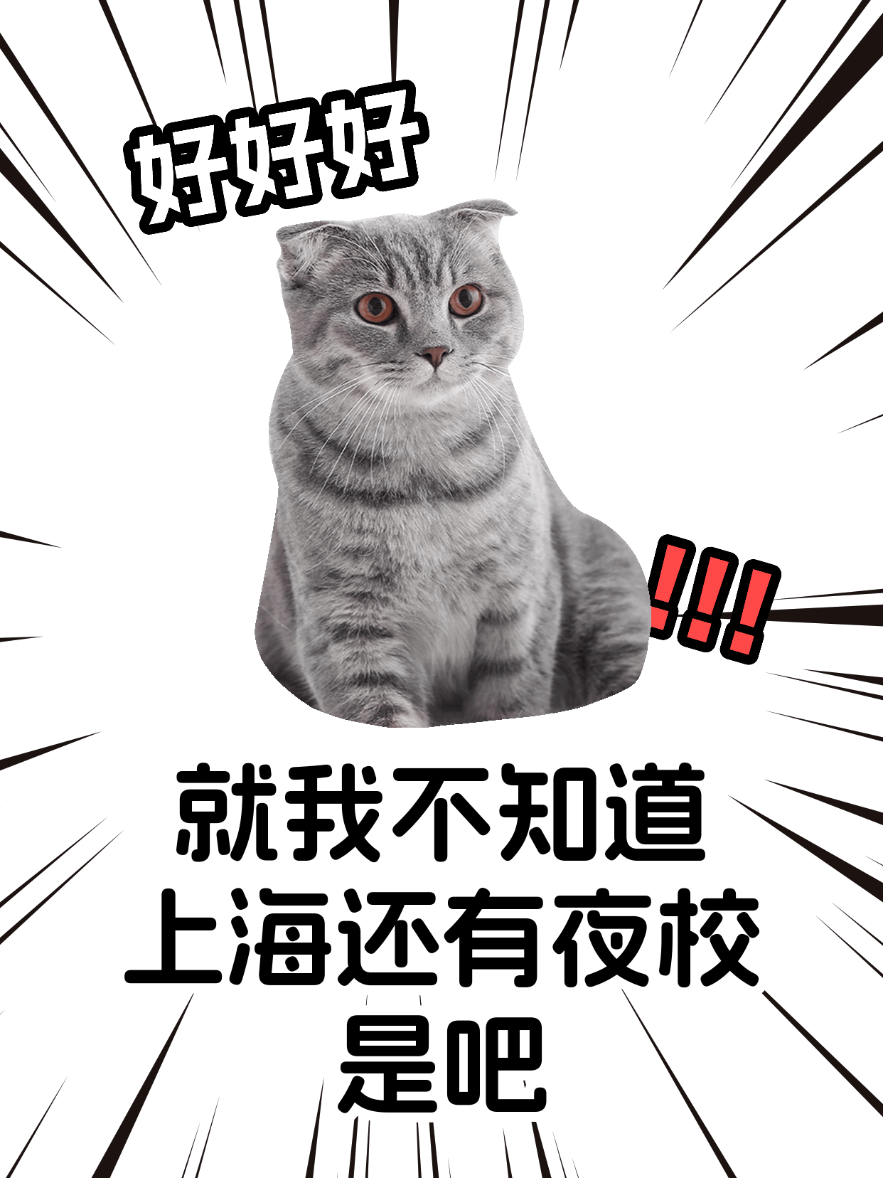 上海下班后学彩铅，越练越乱咋调整？