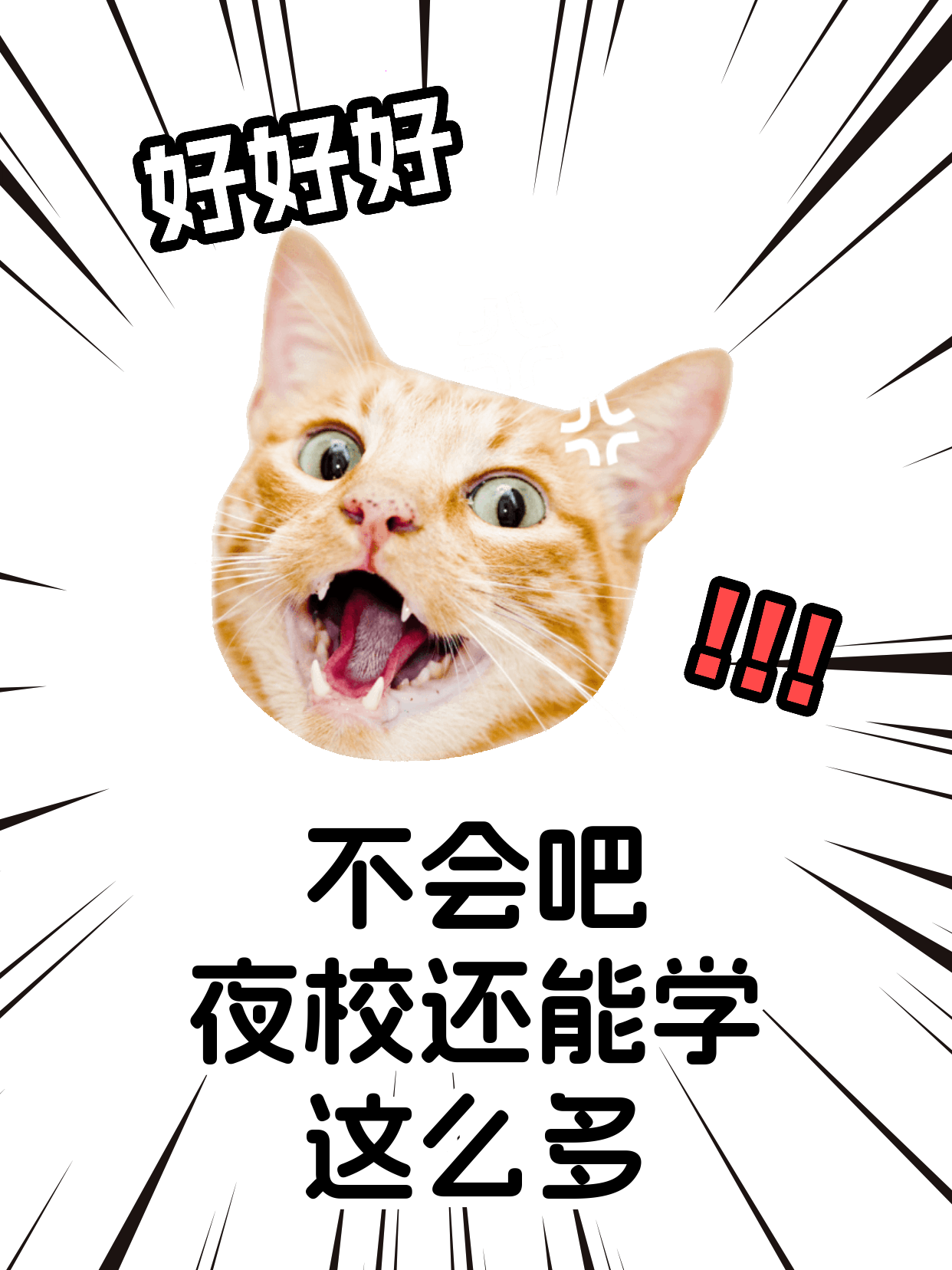 自学手机摄影易卡壳？专业老师教你走对路