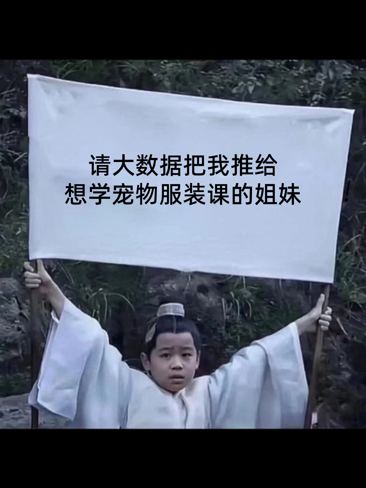 报宠物服装课前，如何选班级规模与反馈节奏