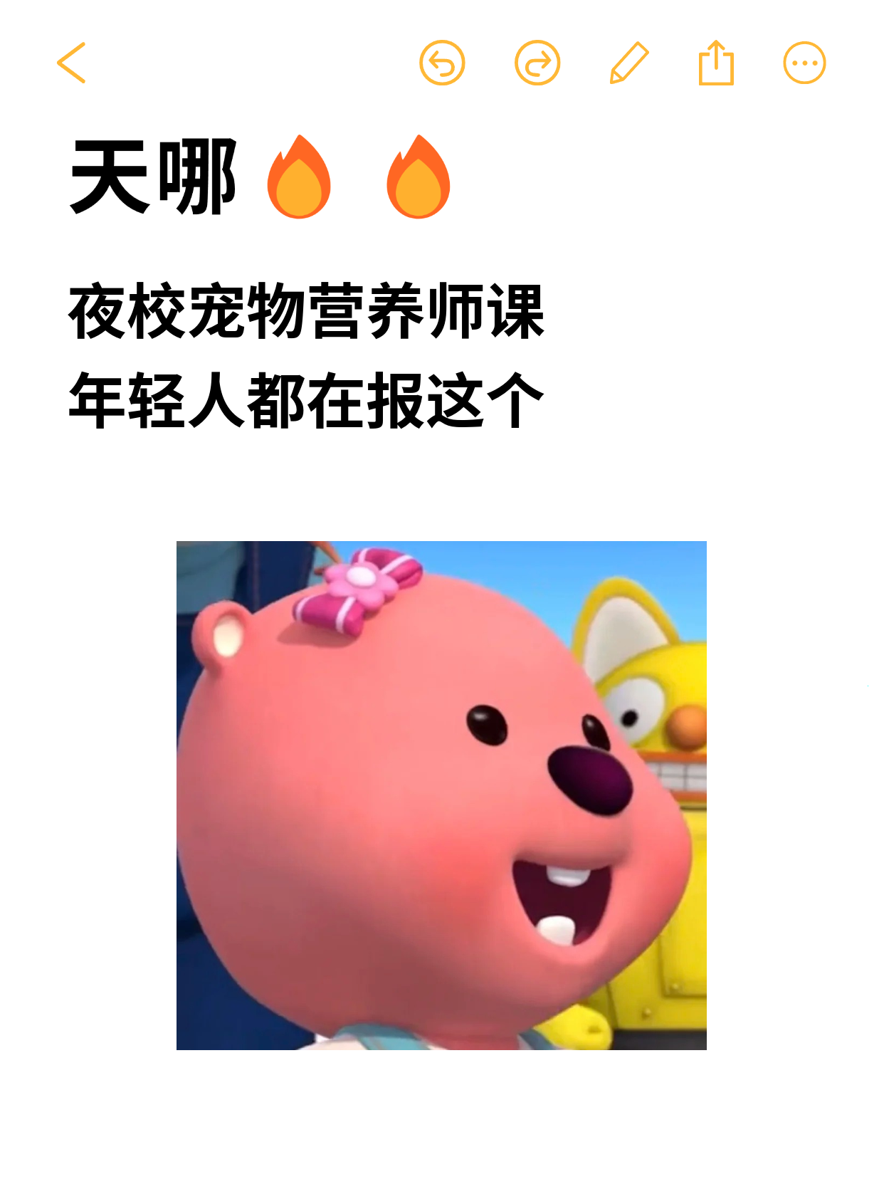 学宠物营养师怎么复盘？上海通勤党稳进步…