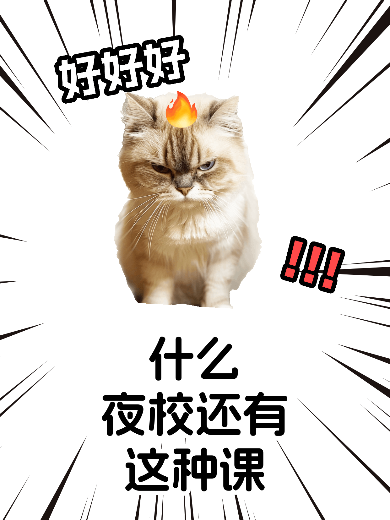 学速写总自我否定？课堂氛围影响坚持度！