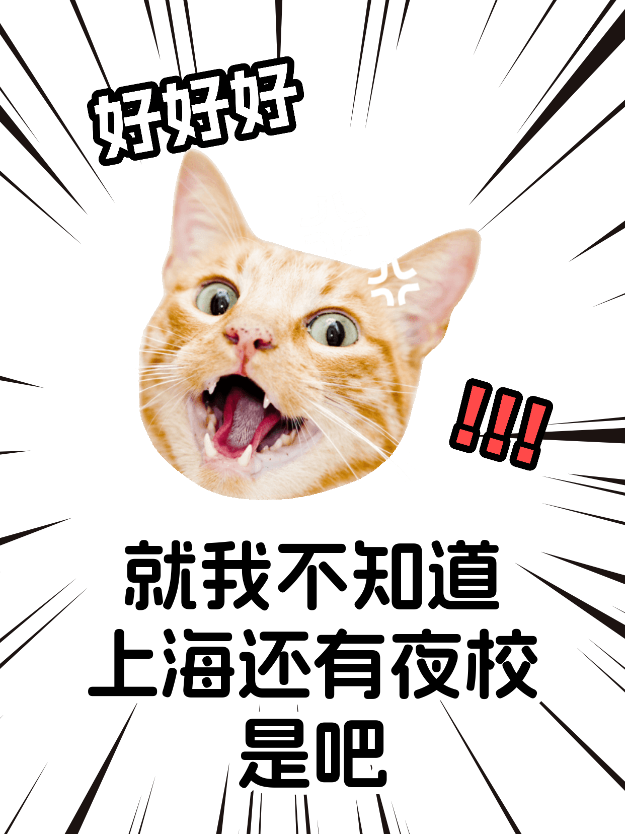 自学小提琴易卡壳？专业老师拆解解决路径