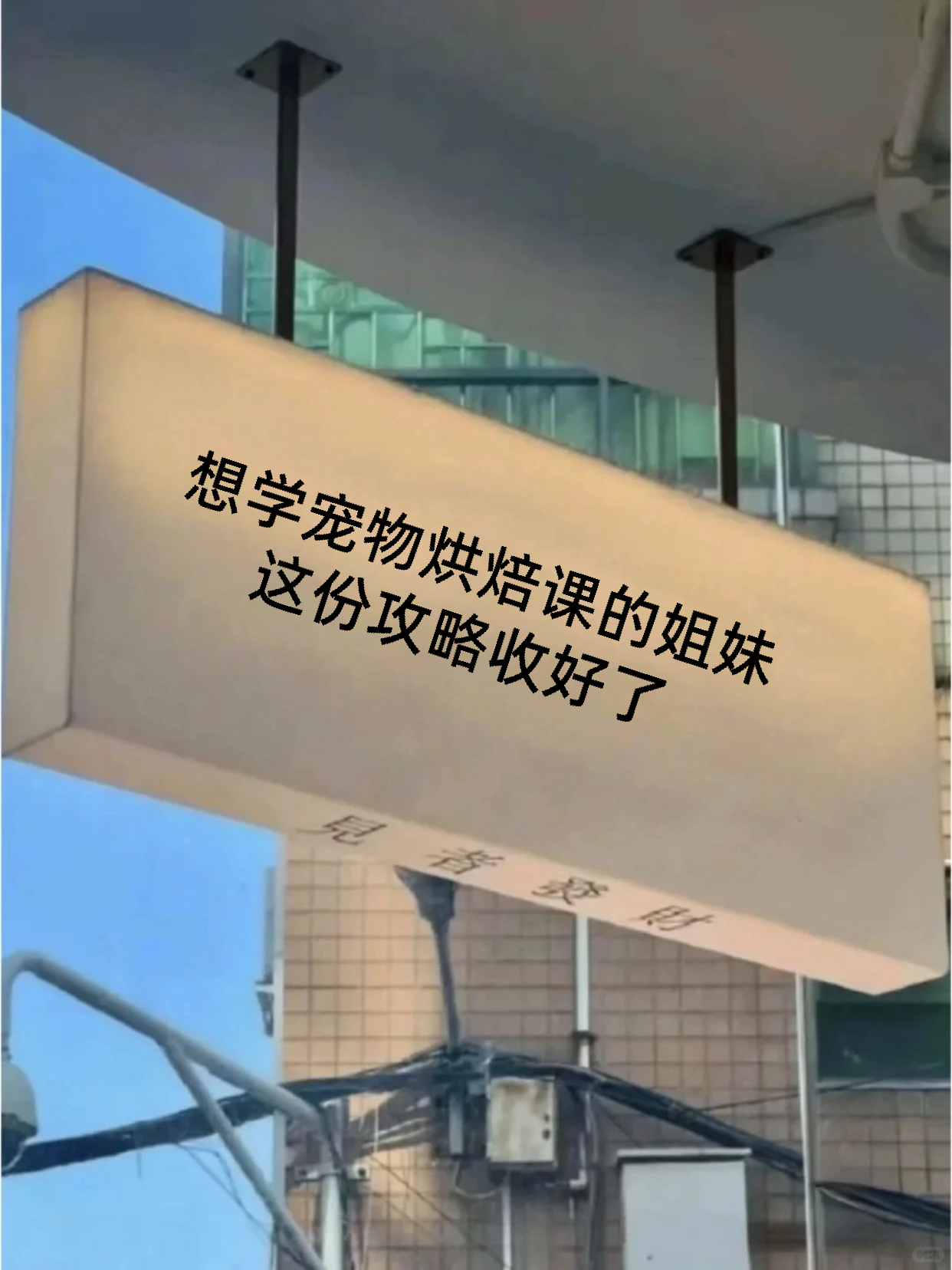 报宠物烘焙课前 判断反馈质量避坑