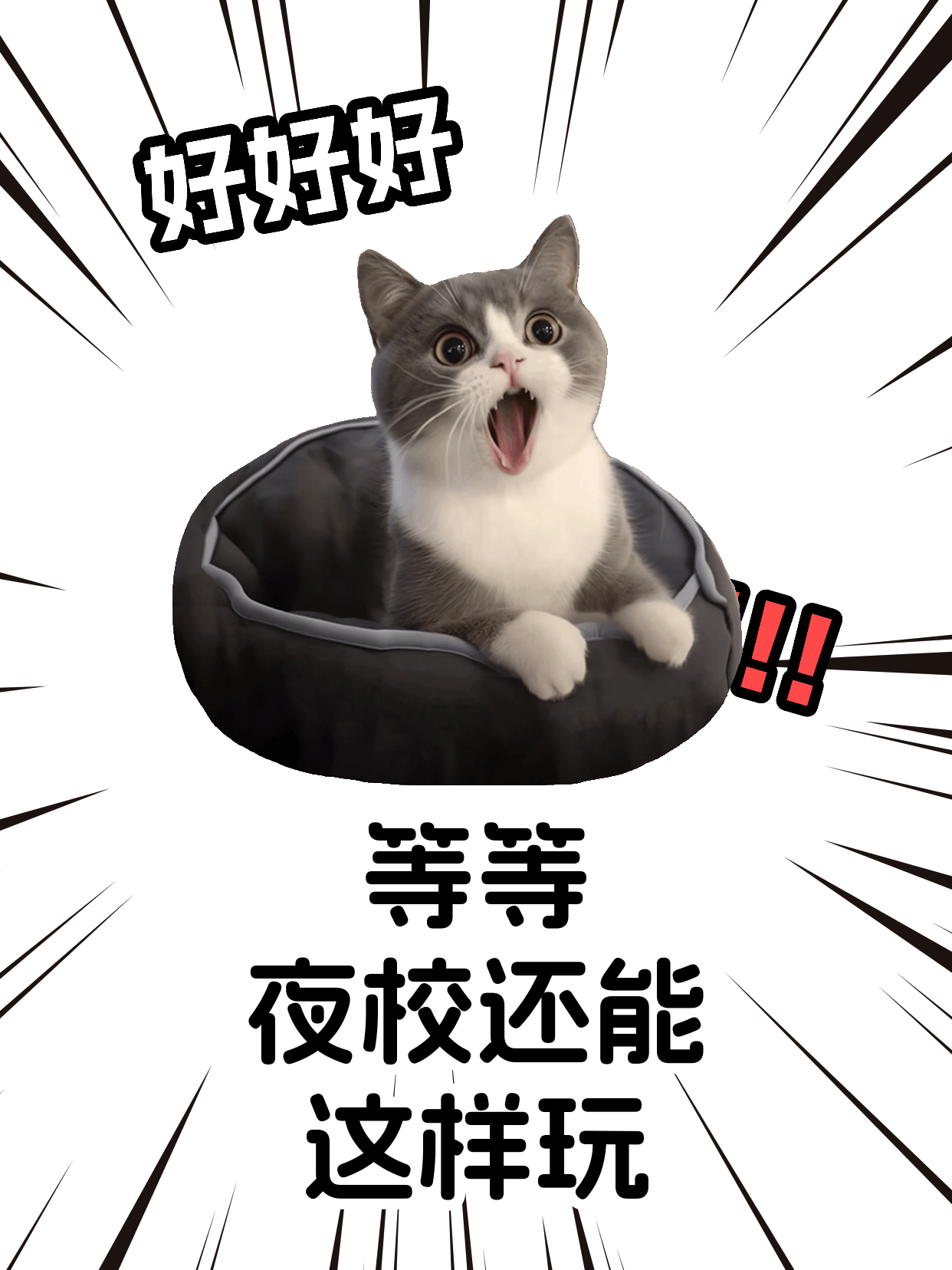 下班后学篆刻，临摹转设计怎么练更自然