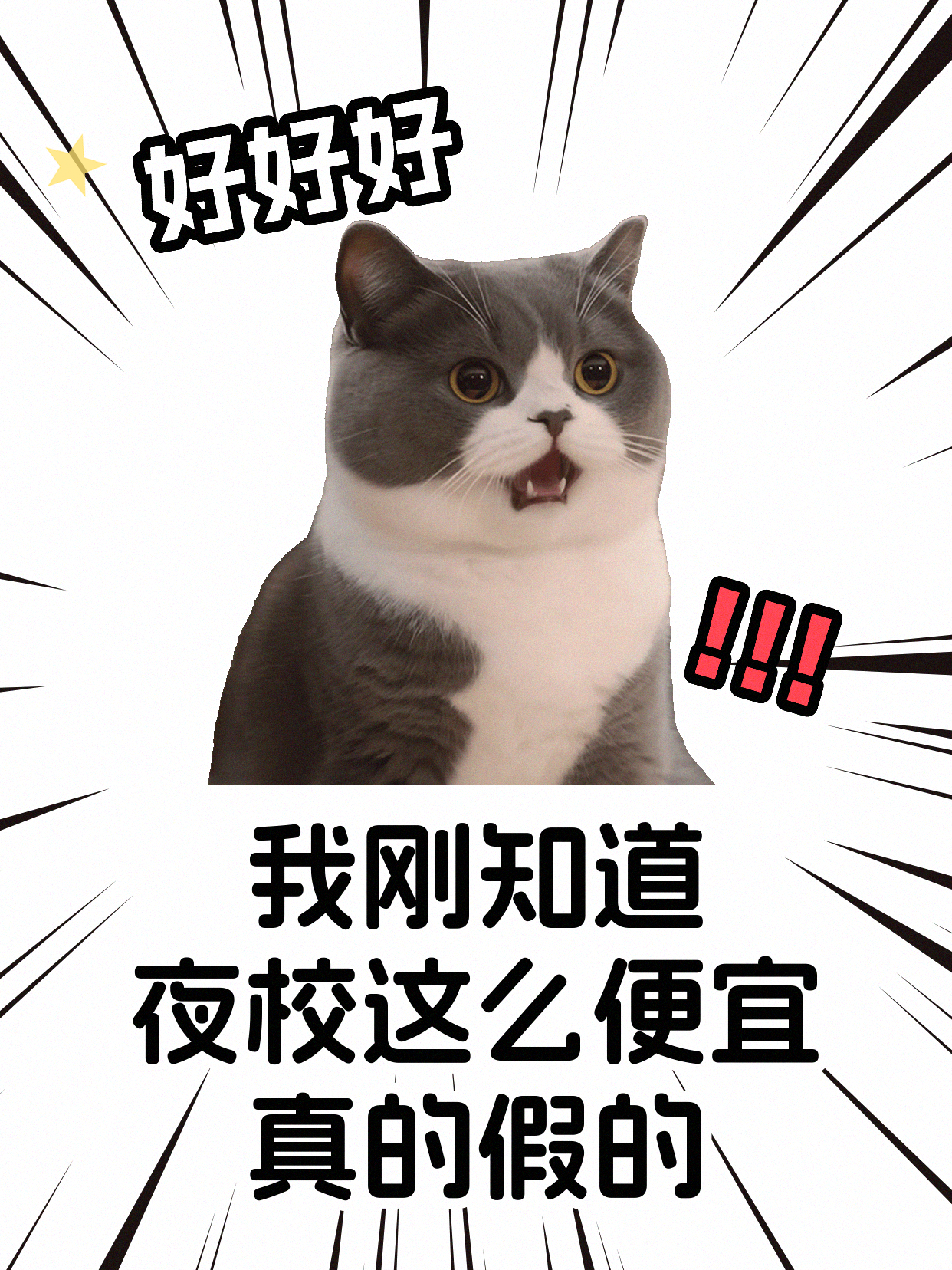 下班后学国画怕孤单?找到同好超安心