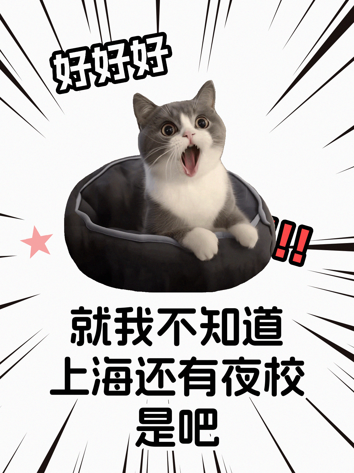 学单反摄影易自我怀疑？专业师资帮你稳心态