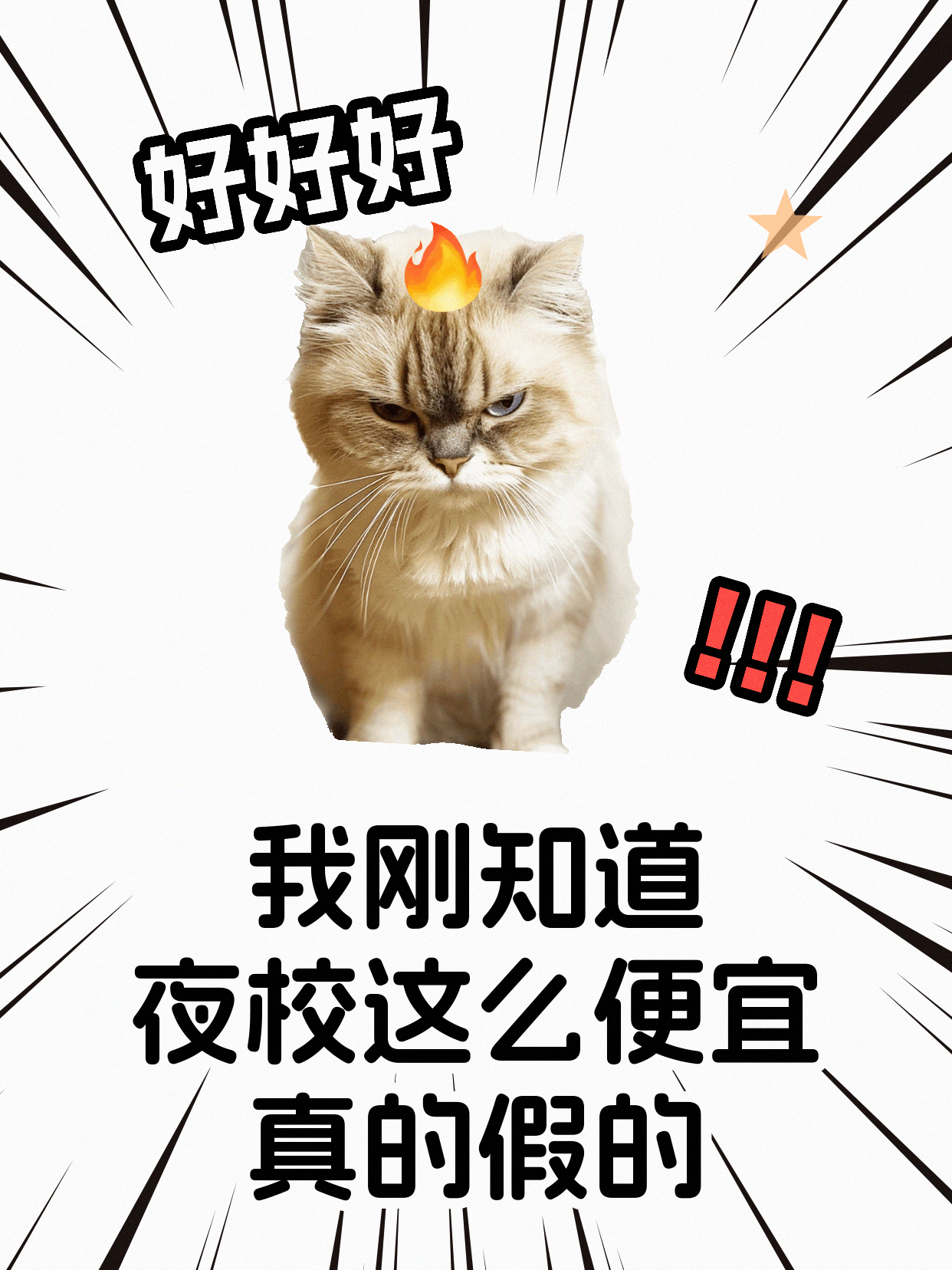 零基础学宠物烘焙，怎样建立稳的执行顺序