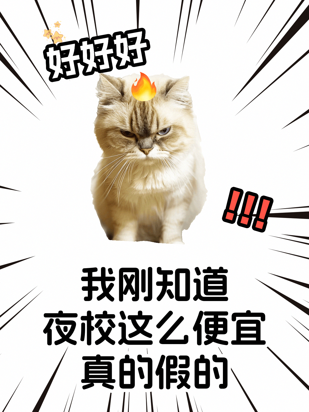 自学缝纫卡壳又孤单？课堂找同好一起练