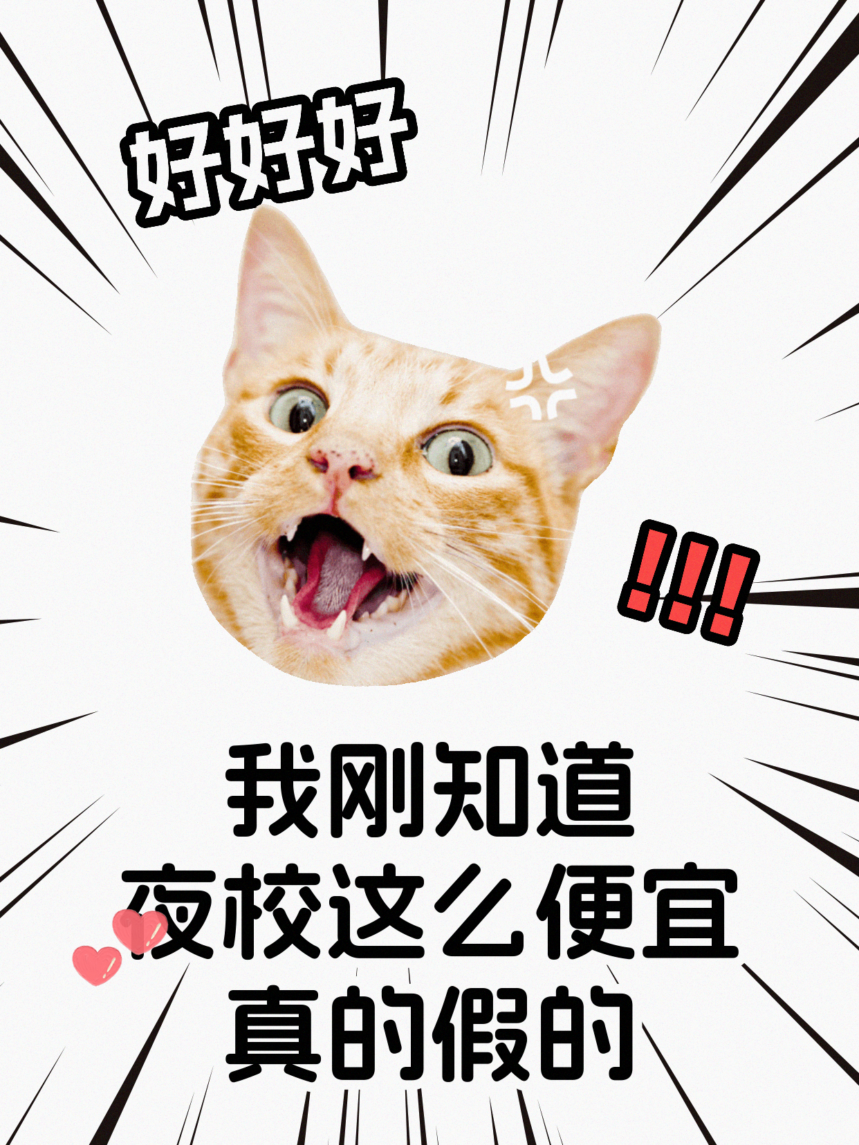 学射箭怕没进步还孤单？这样复盘找同好