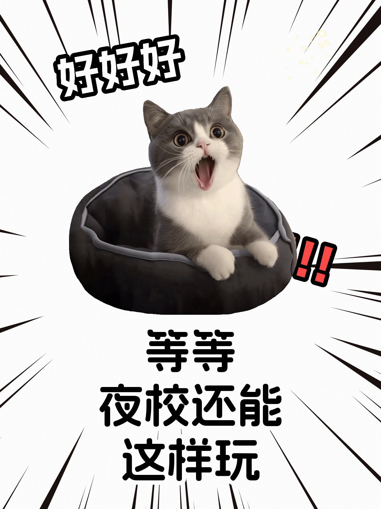 巴西柔术遇平台期？专业教练帮你破局