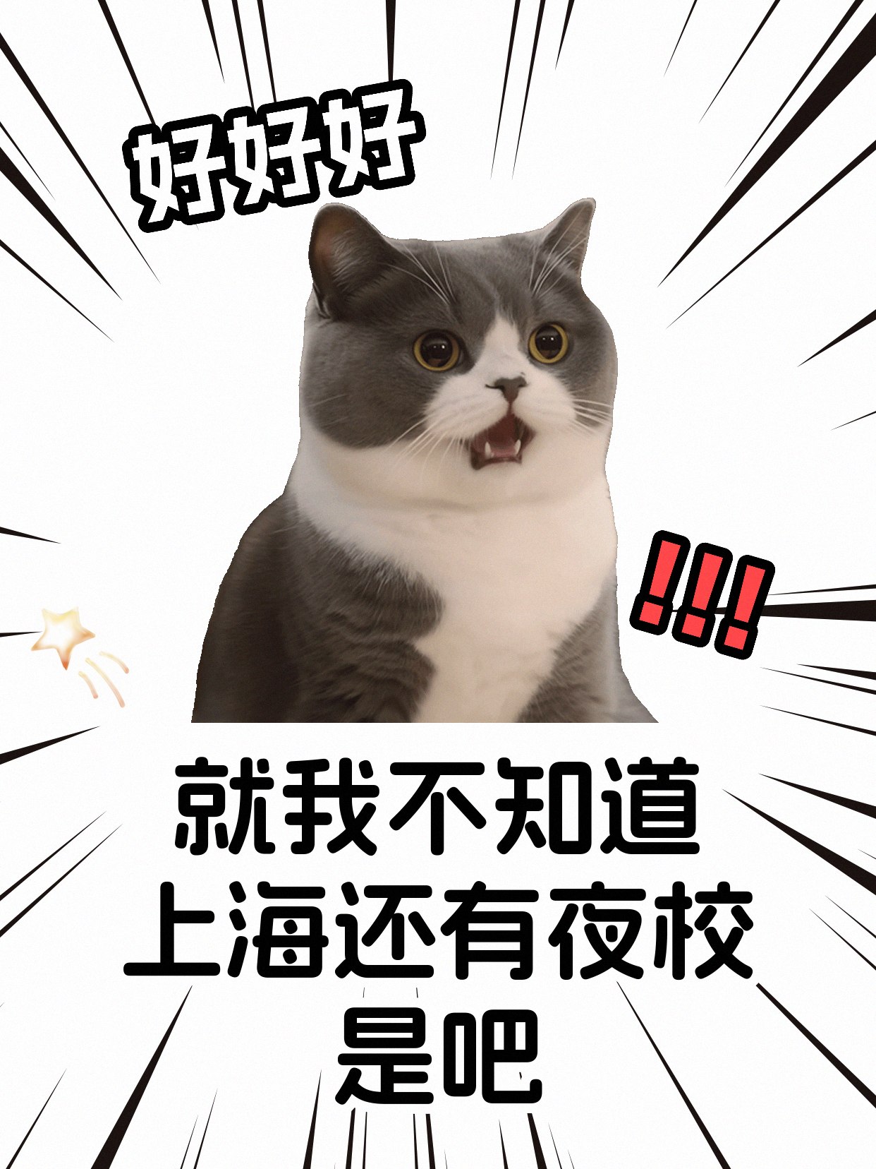 学宠物烘焙怕配方不安全？专业老师先讲这步