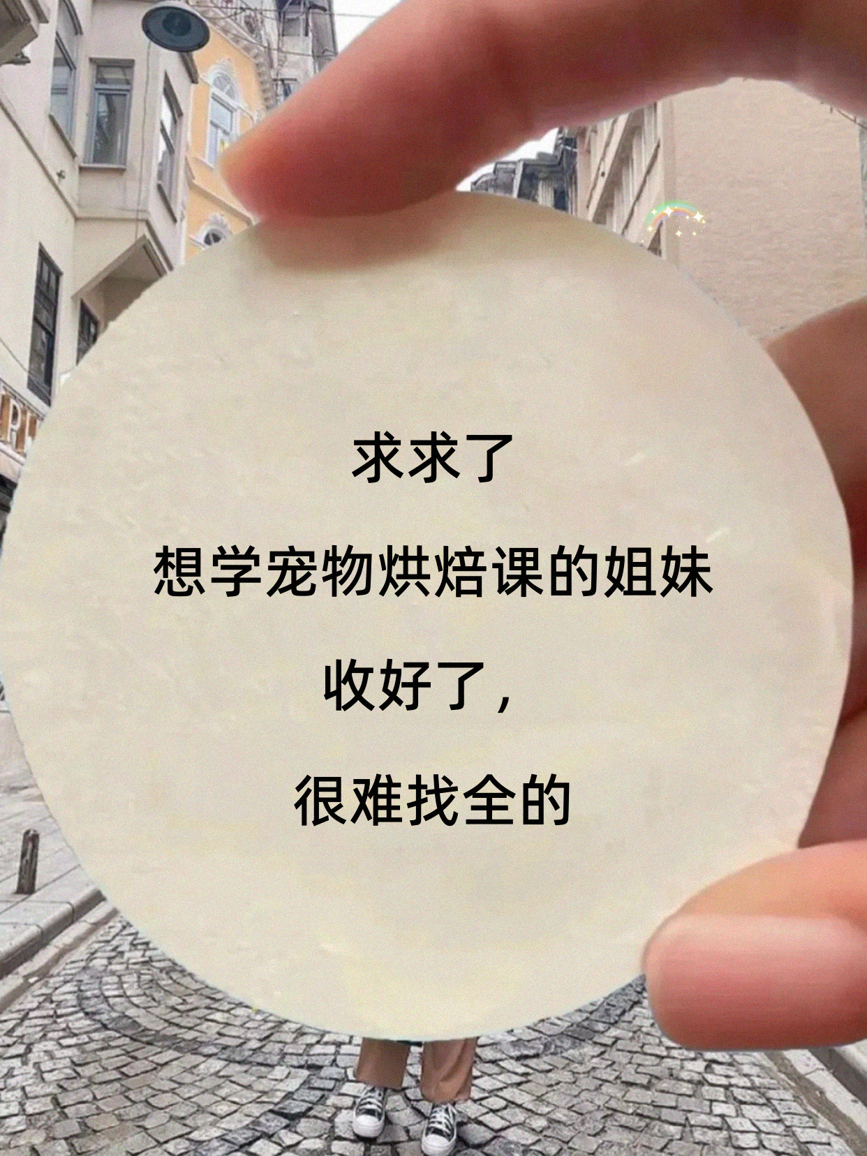 学宠物烘焙怕只学皮毛？看反馈质量再报名
