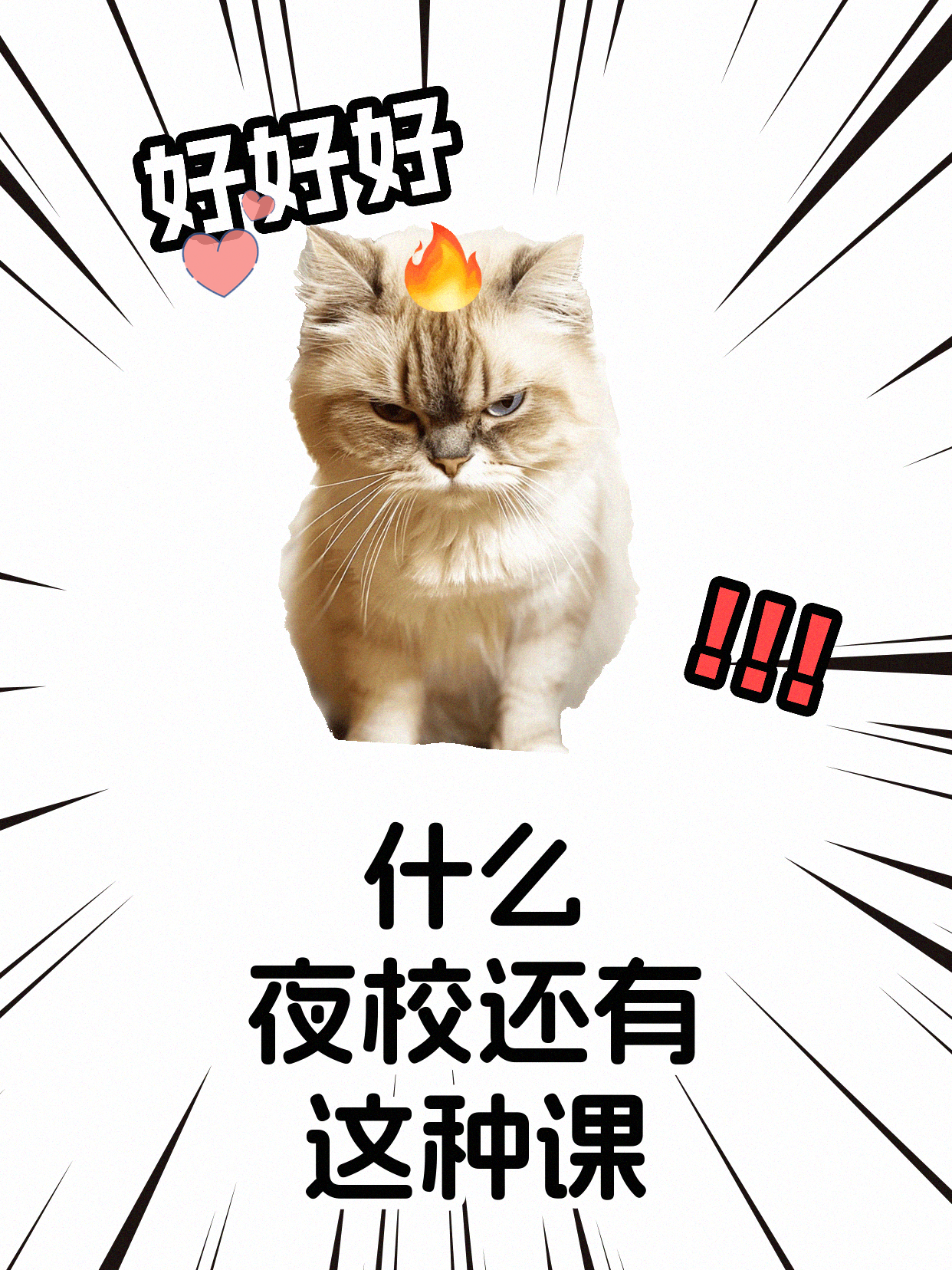 初次上太极课紧张？下班后学也能轻松进入…