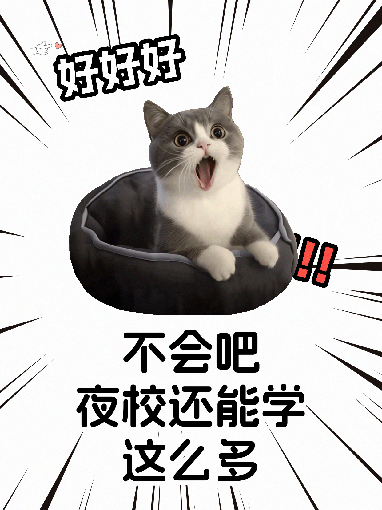 下班后学太极，选老师哪些能力更关键