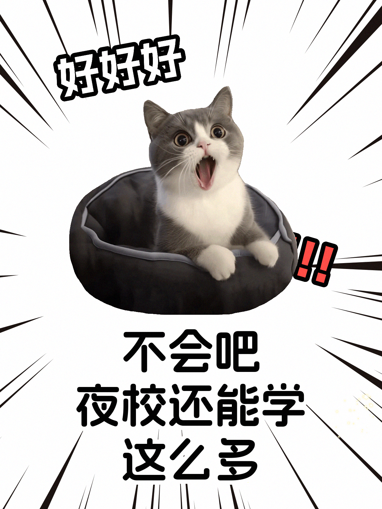 零基础下班后学围棋，怎么快速入门？
