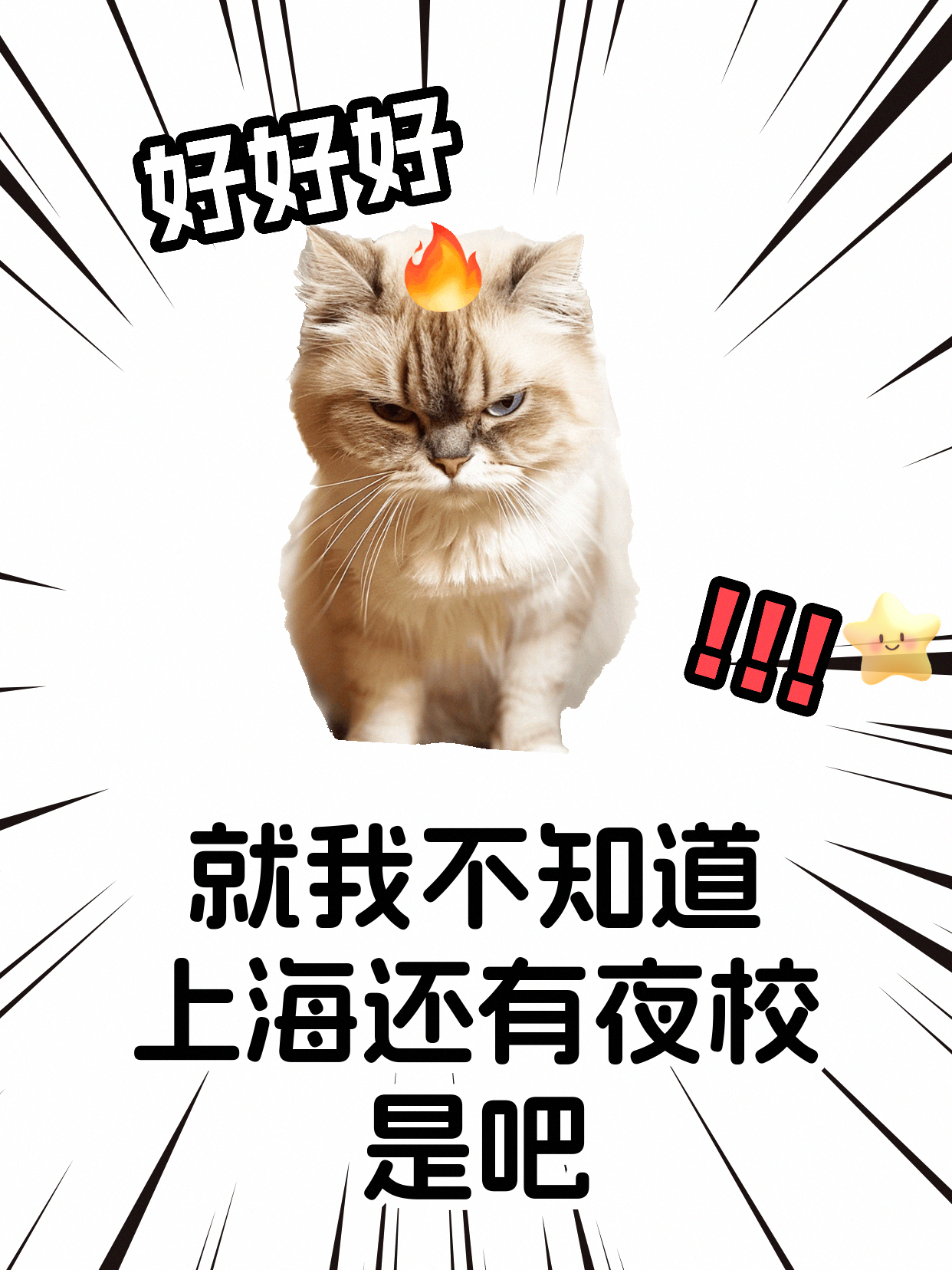学西餐怕摆盘节奏乱，课堂怎么练才稳