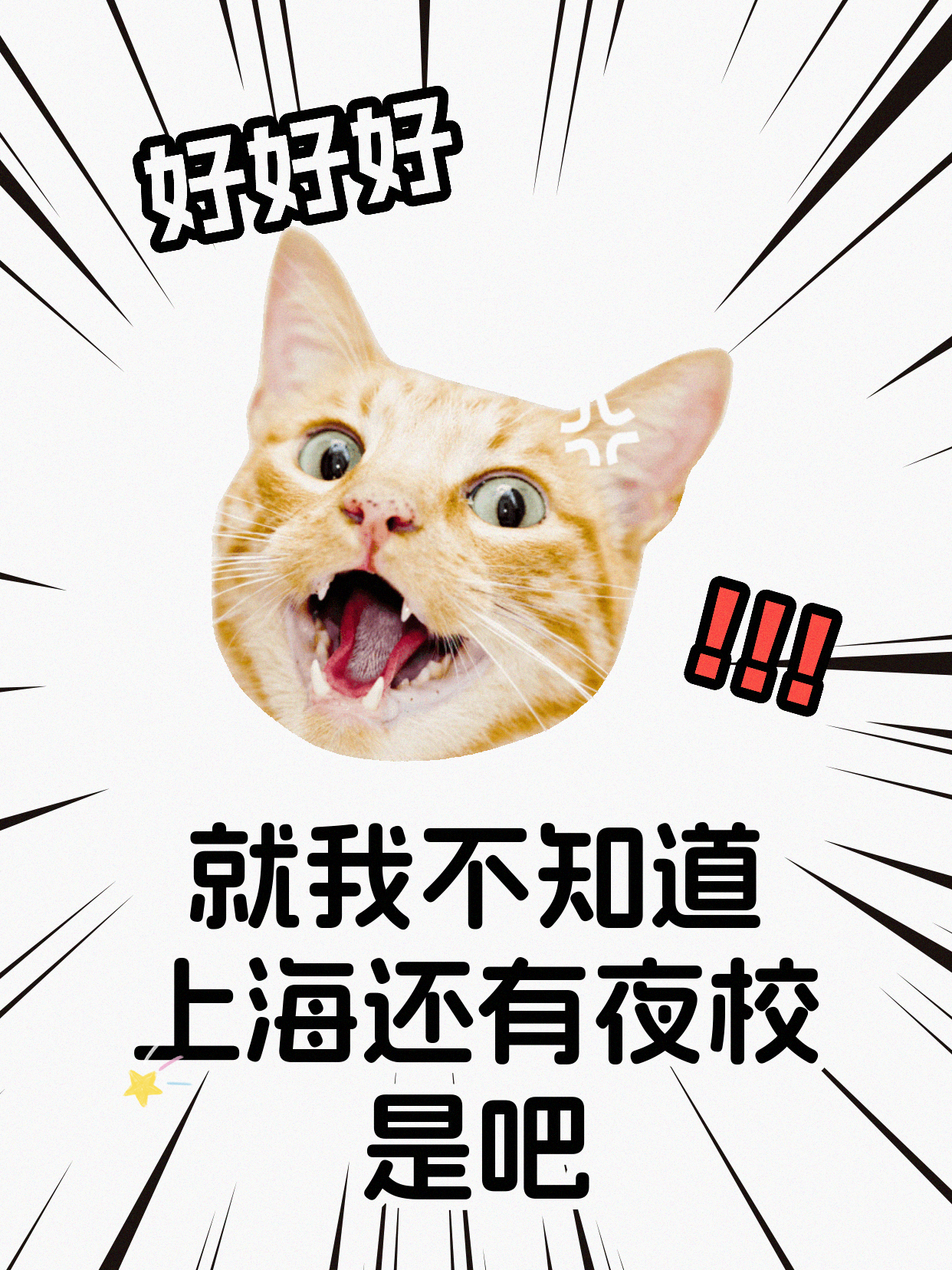 太极学习怕孤单？课堂帮你找到同好