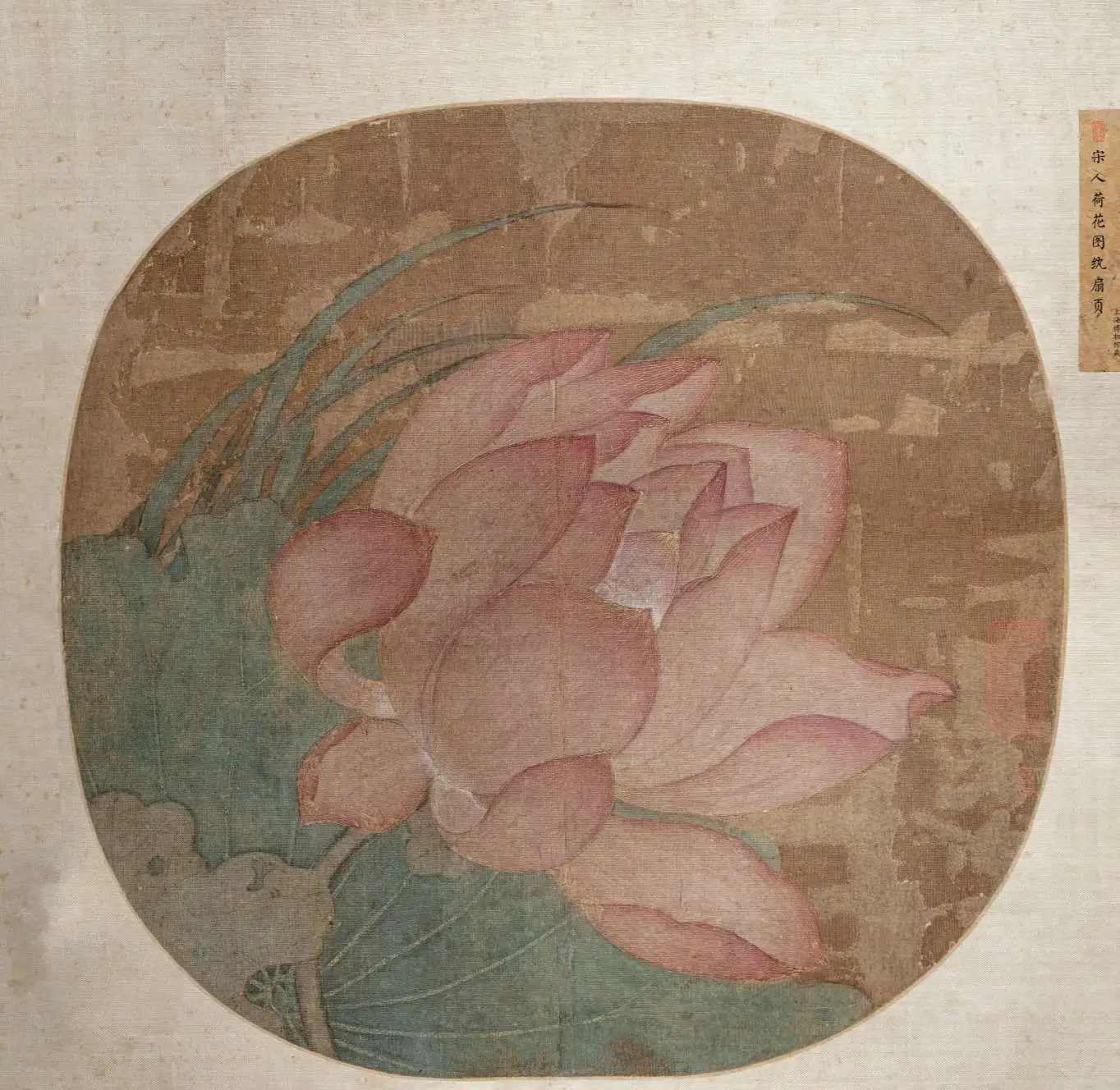 国画工笔团扇-闵行龙柏新村_cover