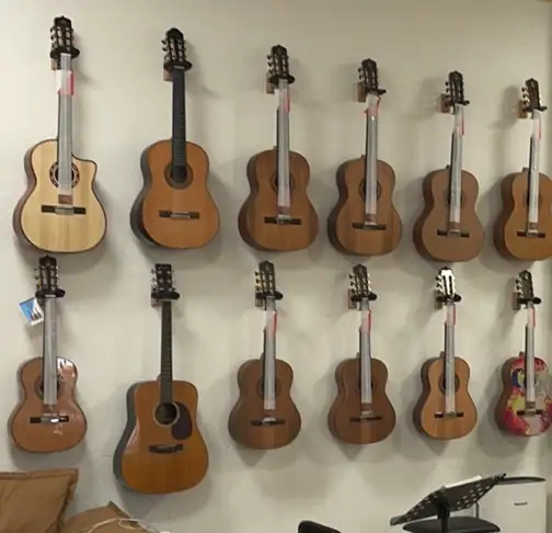 尤克里里-宝山水产路