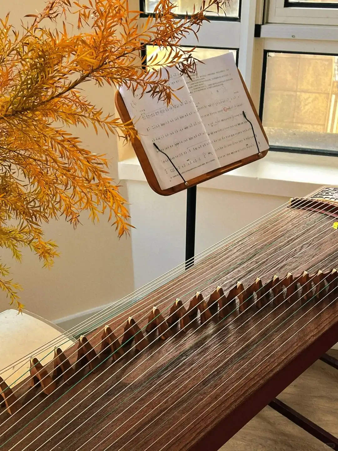 古筝-普陀江宁路