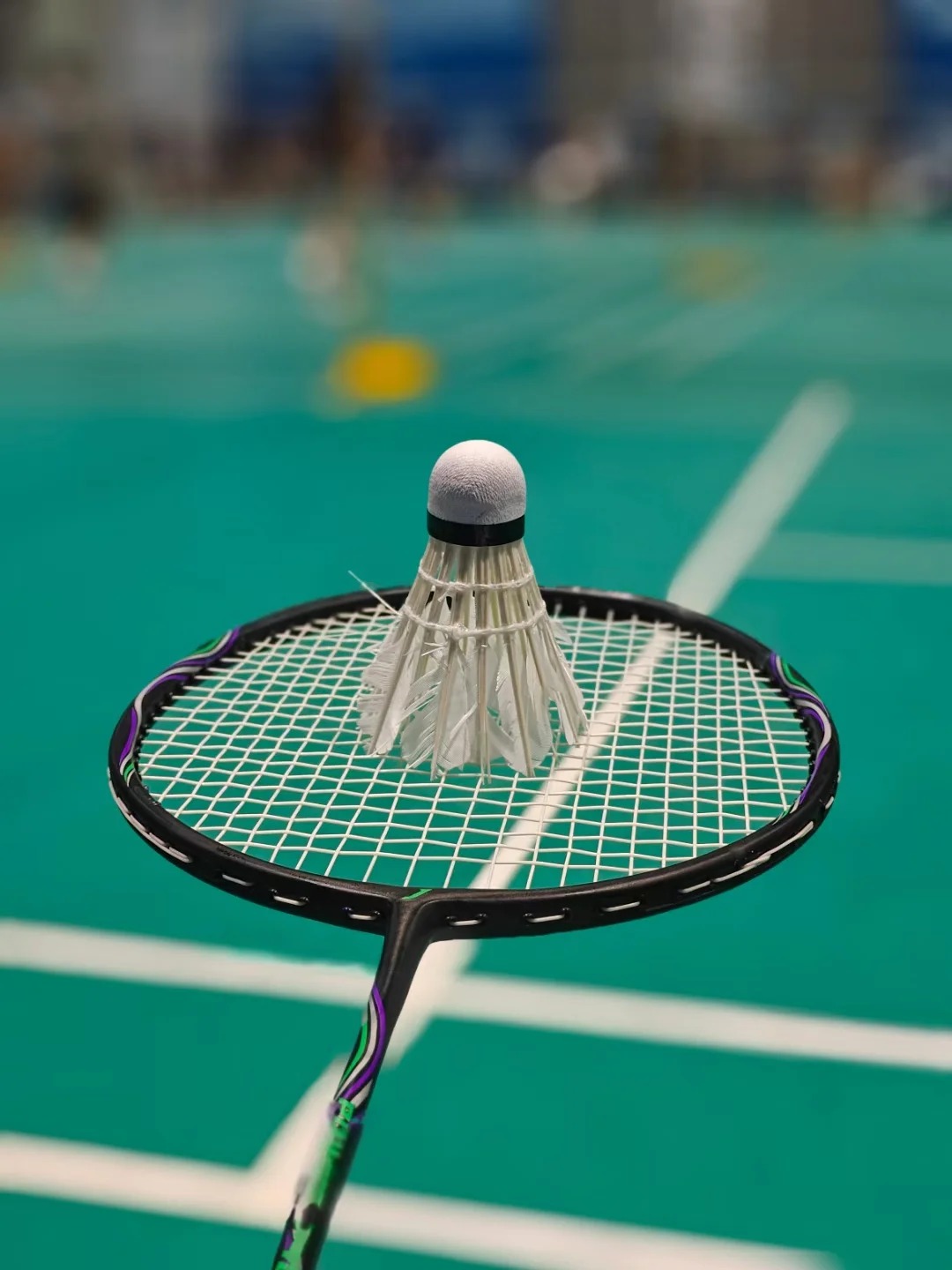 羽毛球-宝山场中路