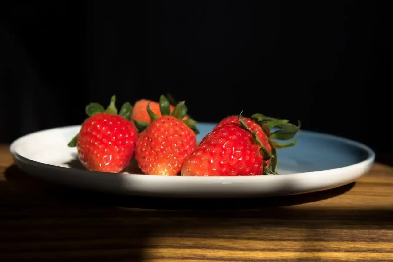 手机摄影-宝山顾村公园