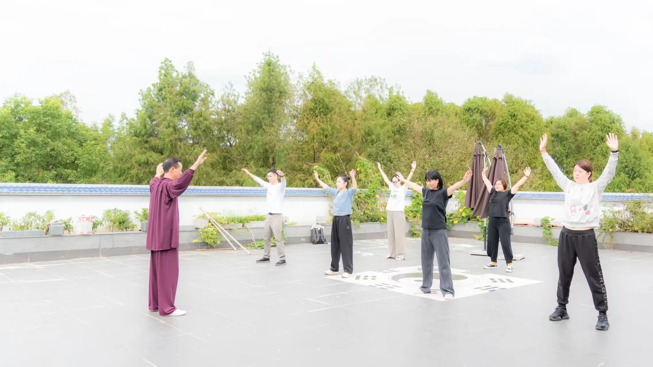 少儿太极-宝山顾村公园