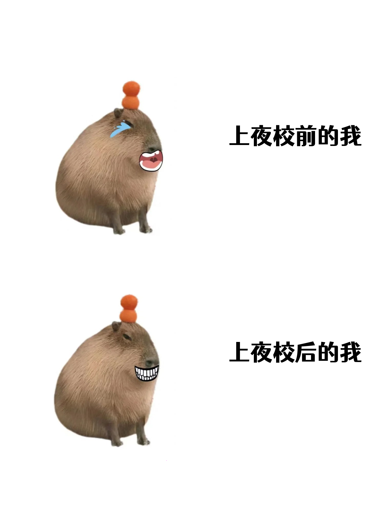 打工人别躺平！夜校点亮下班生活