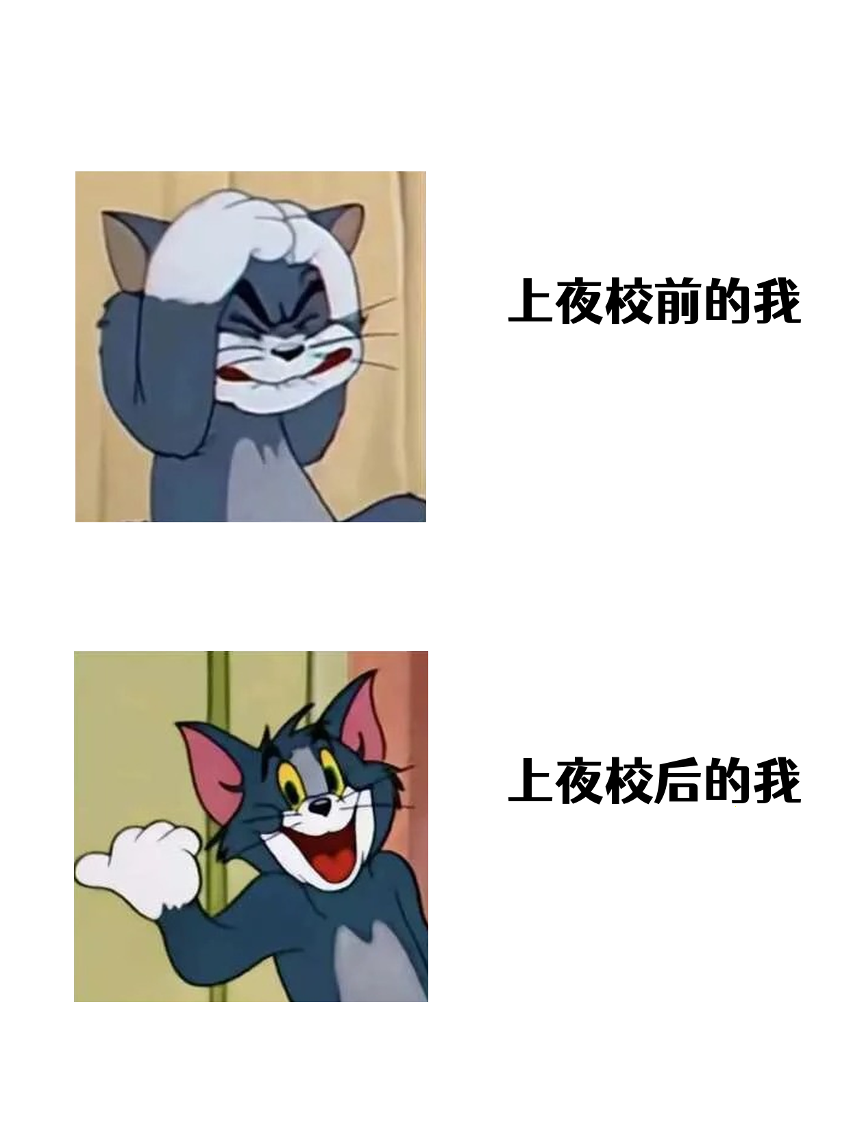 夜校能认识新朋友吗？我的真实经历