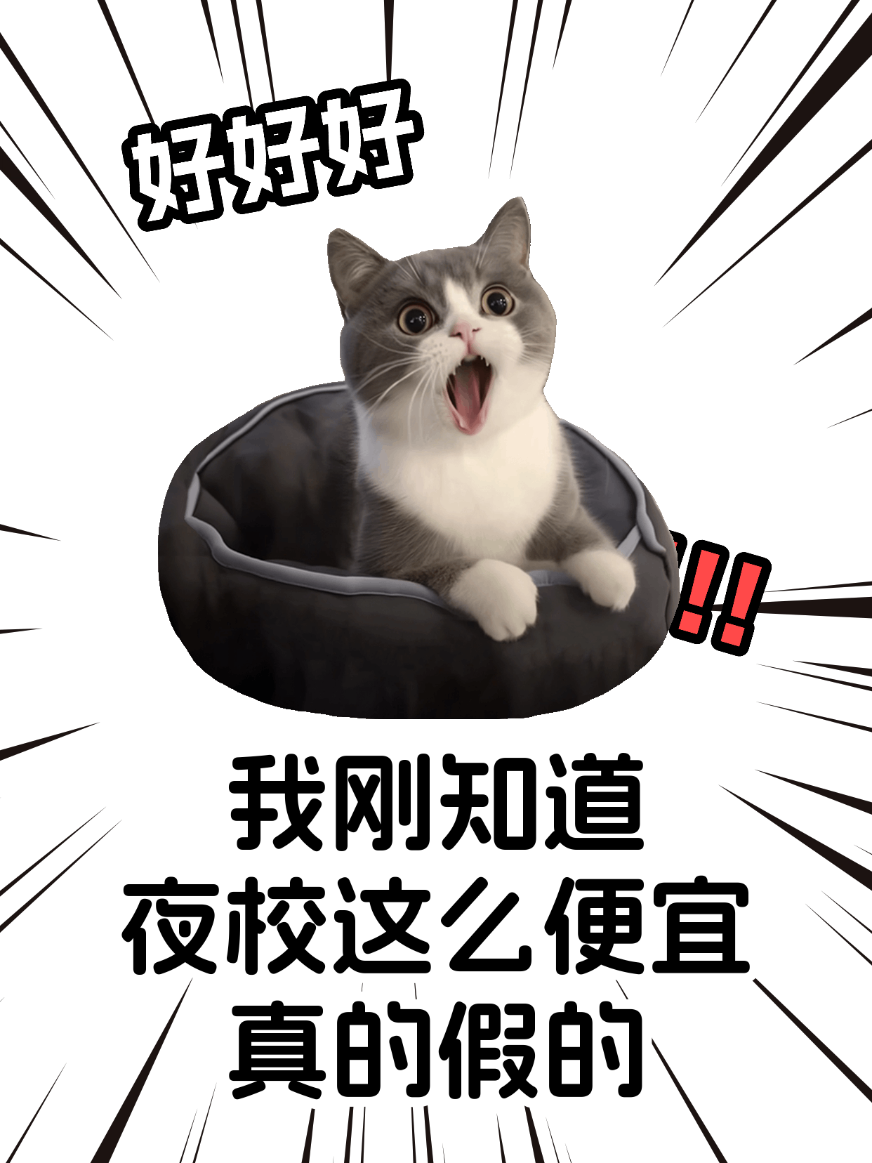 上海上班族都在学的夜校化妆课