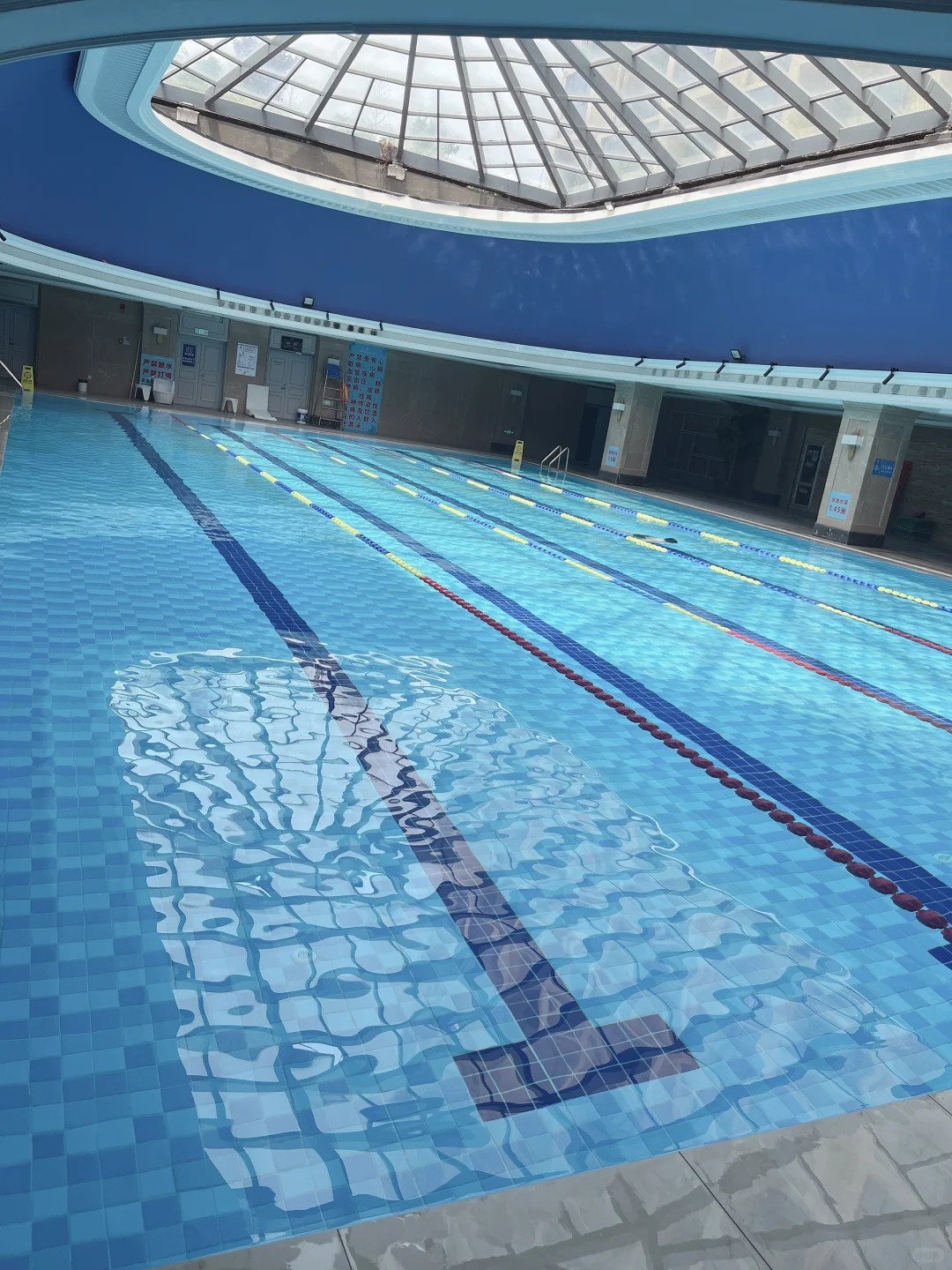 蛙泳-宝山上海大学_cover